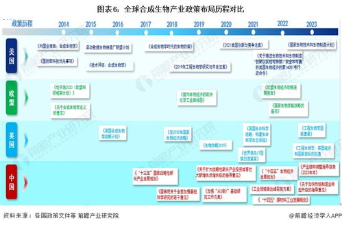2024年中國合成生物產業(yè)全景圖譜 規(guī)模躍升、區(qū)域集聚與技術突破