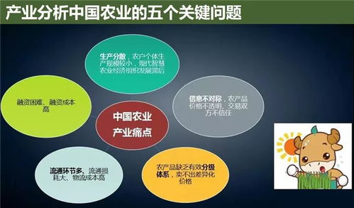 云威榜第475期 互聯(lián)網(wǎng)數(shù)據(jù)服務賦能智慧農(nóng)業(yè)，大數(shù)據(jù)解決方案引領產(chǎn)業(yè)革新